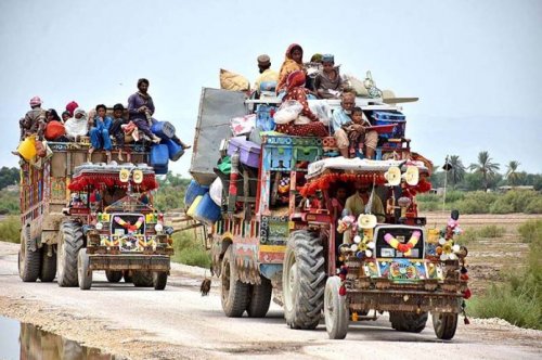 Flood affected people shifting from tractor trolley to safer place at Qubo Saeed Khan Road Larkana Sindh