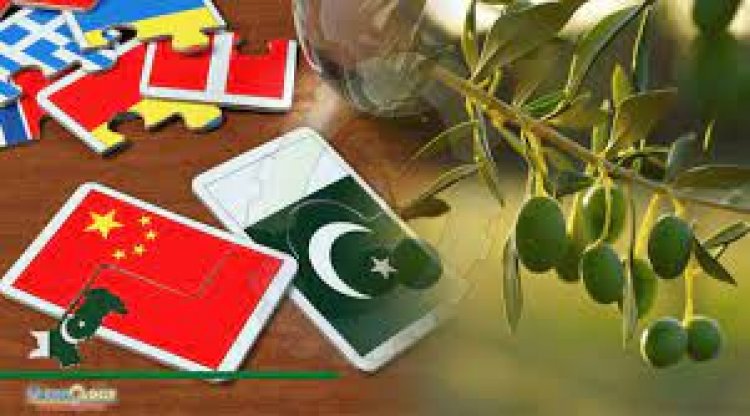 Pak-China olive cooperation possesses immense potential: Chen Rui