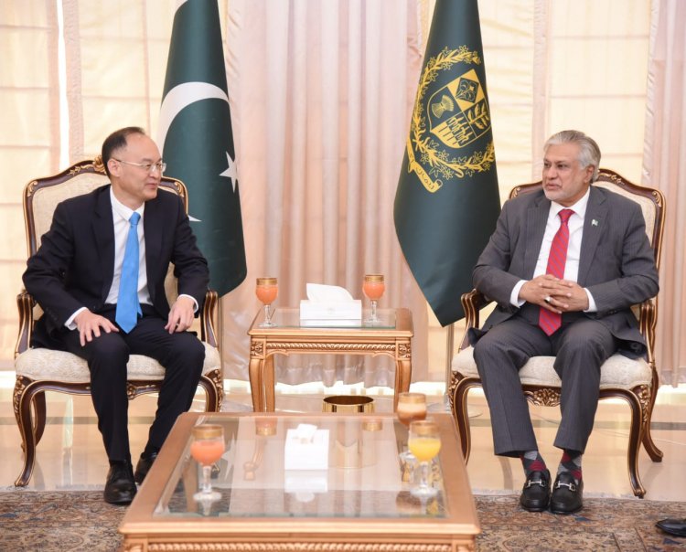 We regards Chinese Govt's all out support to Pakistan, Finance Minister