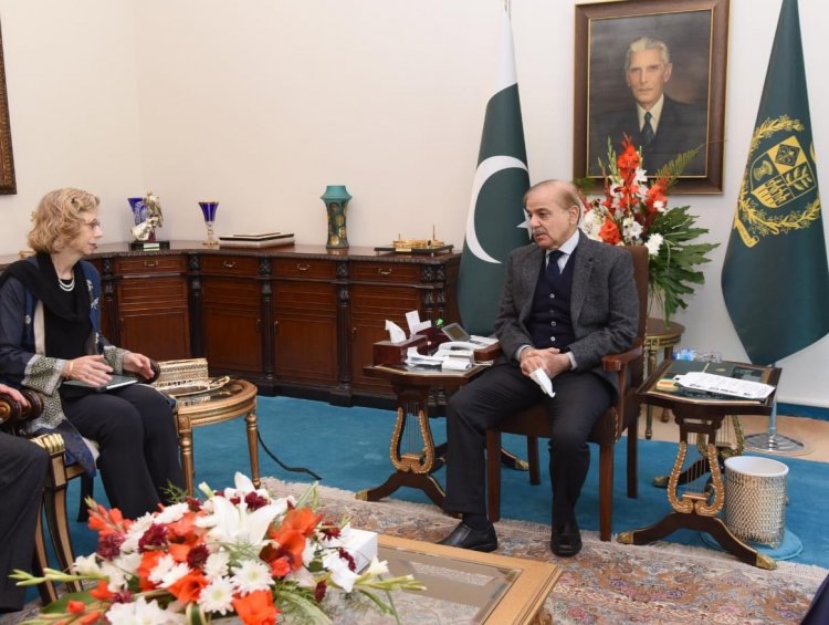 Executive Director UN Environment Programme (UNEP) calls on the Prime Minister