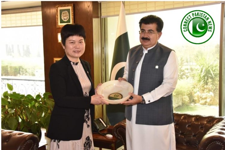 Pakistan and China Reaffirm Their Resolve to Further Boost Bilateral Cooperation in Various Fields