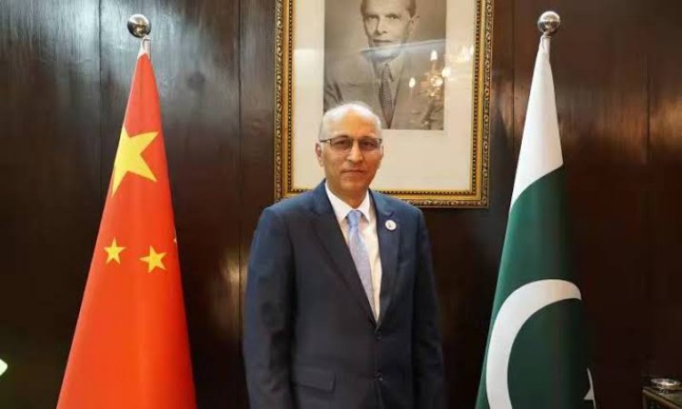 Platform to be set up to connect the business community of Punjab and Sichuan, Ambassador Moin ul Haque