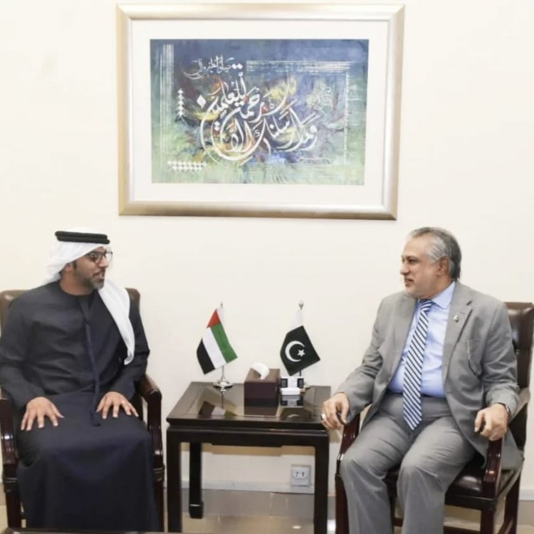 UAE has been a great partner of Pakistan in various fields, Dar