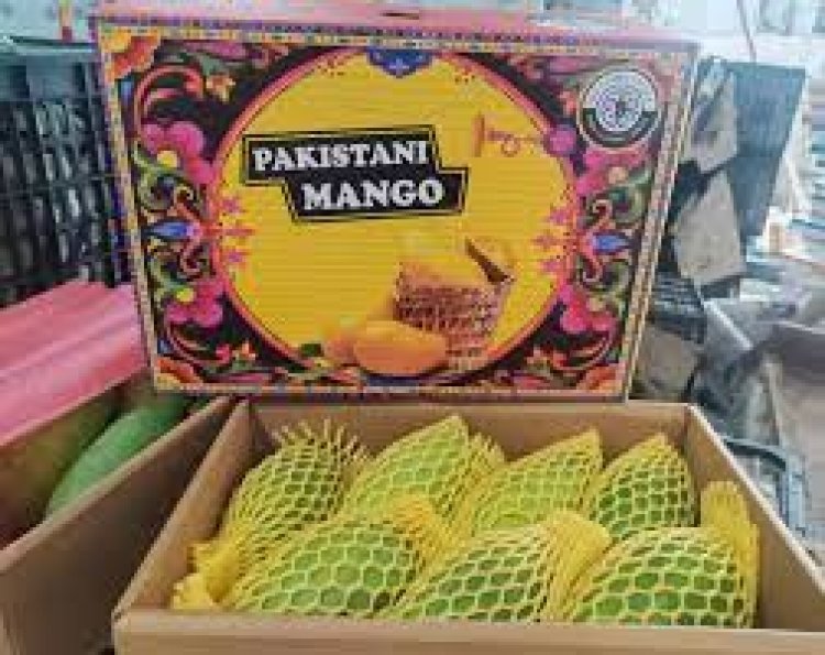 Pakistani mangoes land in China via newly opened cargo route