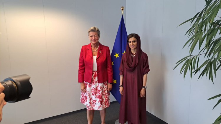 Meetings of the Minister of State in Brussels