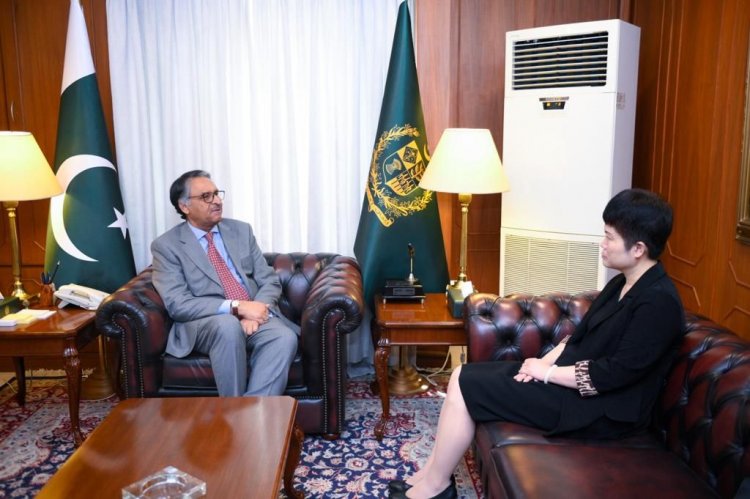 Chinese Embassy Charge d' Affairs Pang Chunxue meets Foreign Minister of Pakistan Jalil Abbas Jilani