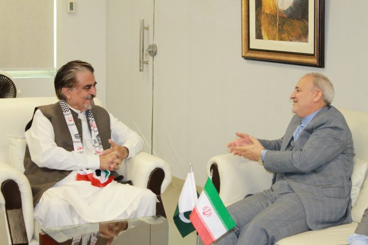 Enhancing Pak-Iran Cultural Collaboration: Iranian Ambassador and Minister Culture discuss Art, Film, and Literature Cooperation