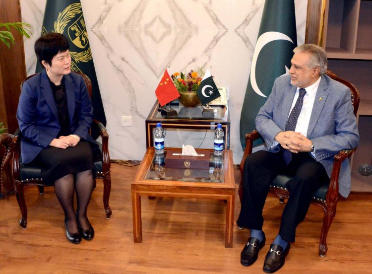 Enhancing Bilateral Cooperation: Chinese Charge D’affaires Meets with Pakistan's Leader of the House