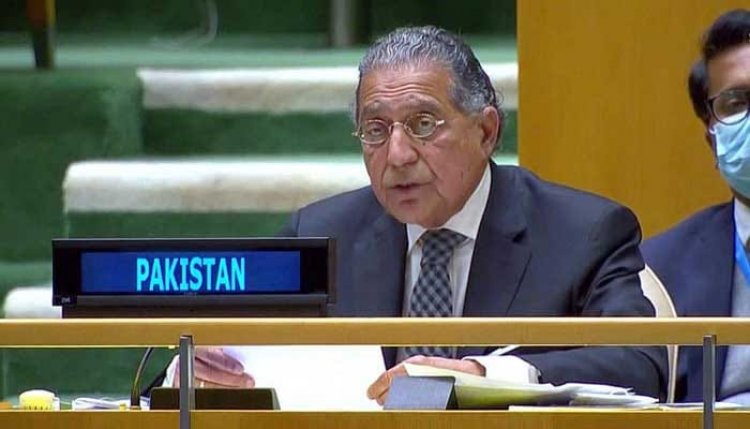 UN ‘Summit for the Future’ must reflect developing countries’ priorities in it’s declaration: Pakistan