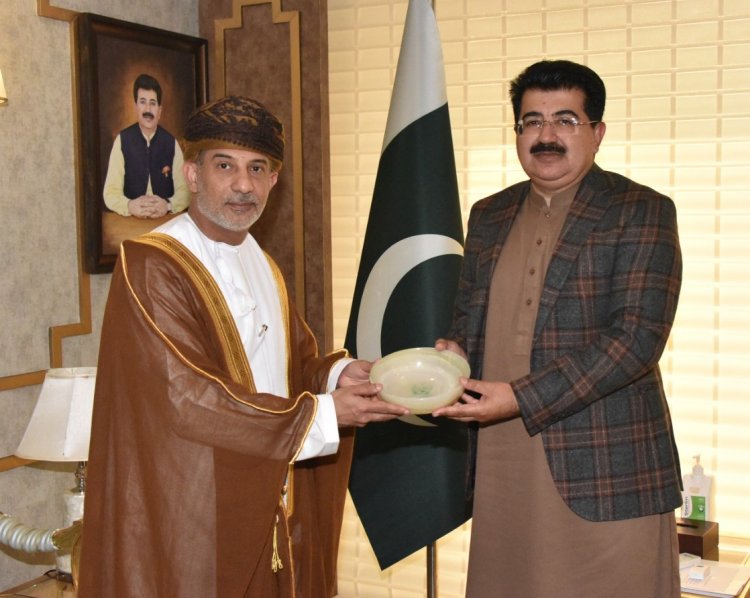 Muhammad Sadiq Sanjrani Advocates for Peace in Palestine and Bolsters Pakistan-Oman Relations