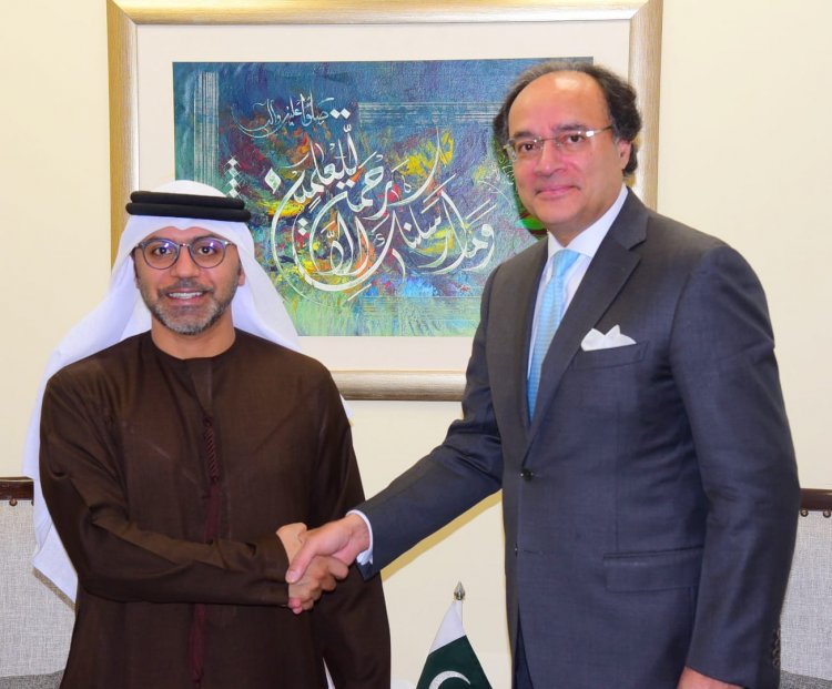 Privatization Progress and Investment Initiatives Highlighted in Pakistan-UAE Meeting