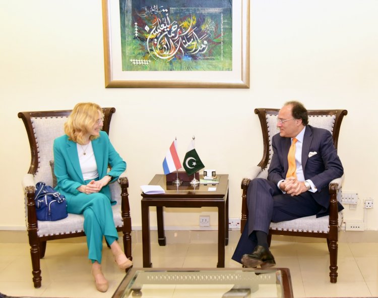 Netherlands Ambassador and Pakistani Minister Confer on Economic Development Initiatives