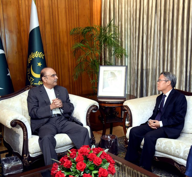 Chinese Ambassador Emphasizes Counter-Terrorism Collaboration in Meeting with President Zardari