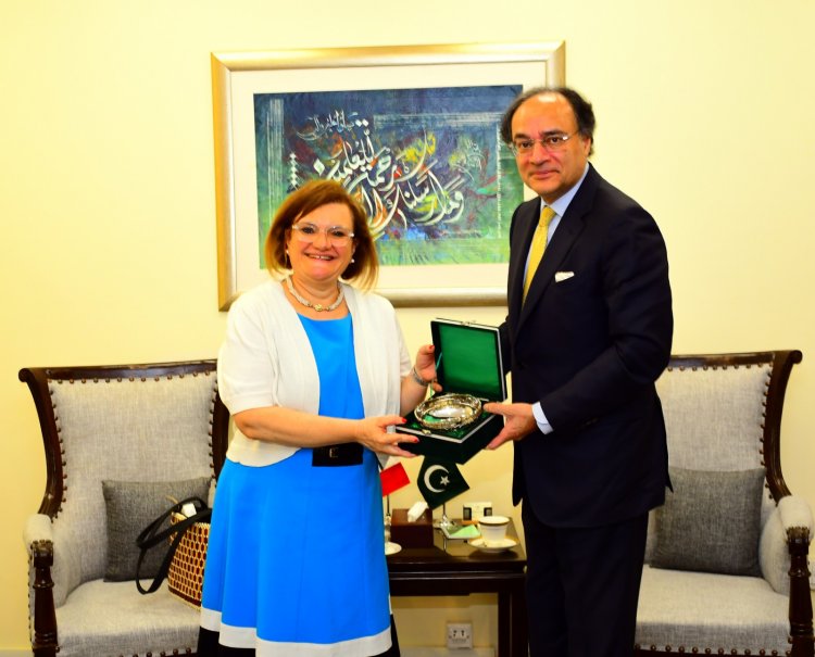 Italian Ambassador and Finance Minister Strategize Economic Cooperation