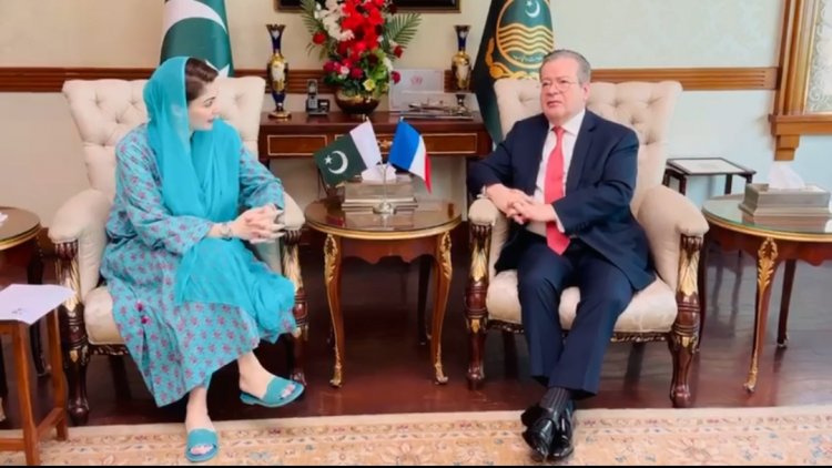 Shared Vision: Pakistan and France Commit to Development and Stability