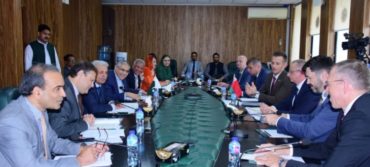 Pakistan and Belarus discussed different joint venture options to set up tractor plant in the country