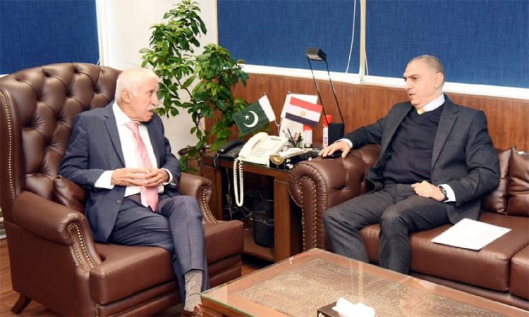 Fostering Connectivity: Pakistan and Egypt Explore Maritime Investment Opportunities